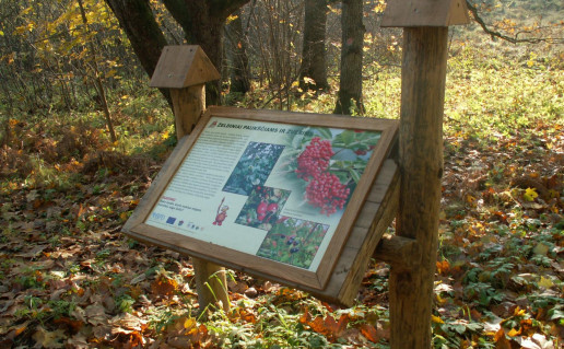 18_Jomantu misko ažintinis takas (1).jpg